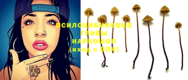 твердый Медвежьегорск