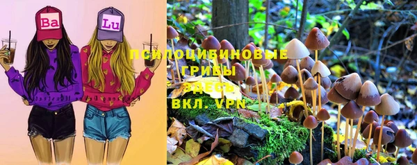 твердый Медвежьегорск