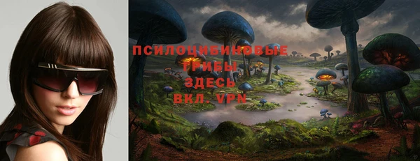 герыч Мегион